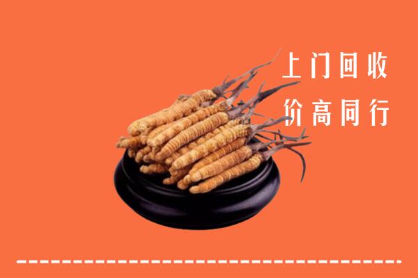 收购行情：西安蓝田县回收散虫草