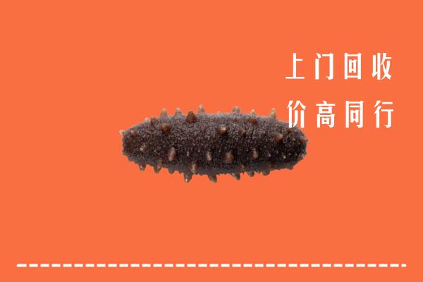 西安蓝田县回收海参