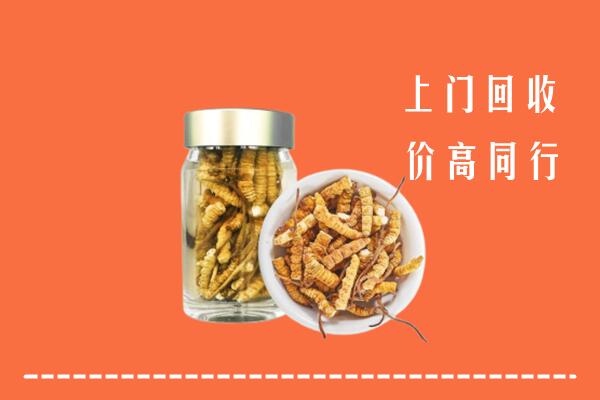 西安蓝田县回收冬虫夏草