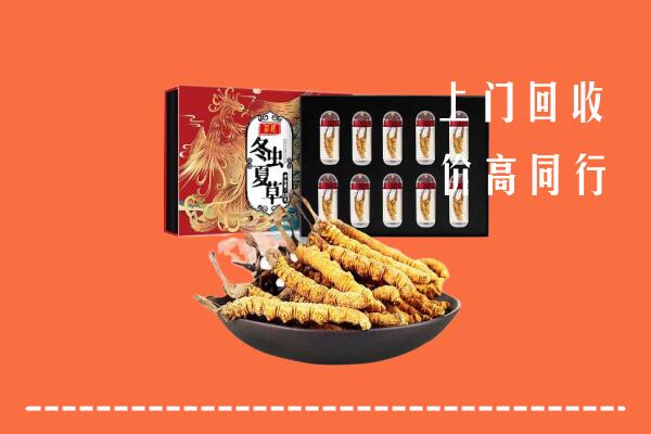 西安蓝田县回收虫草